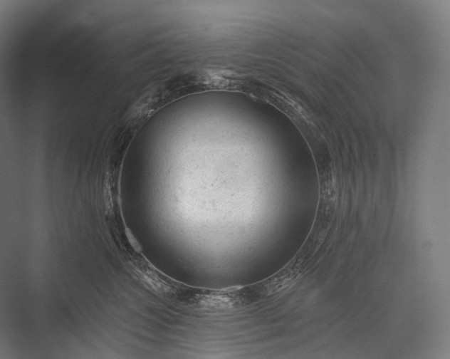 X0000076300572200610061307