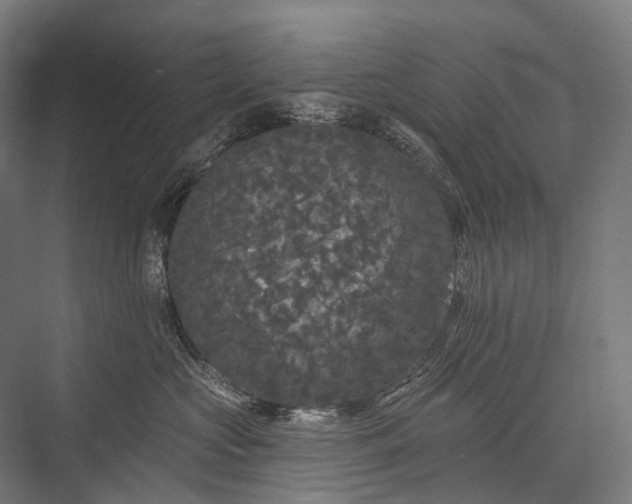 X0000076300573200610061307