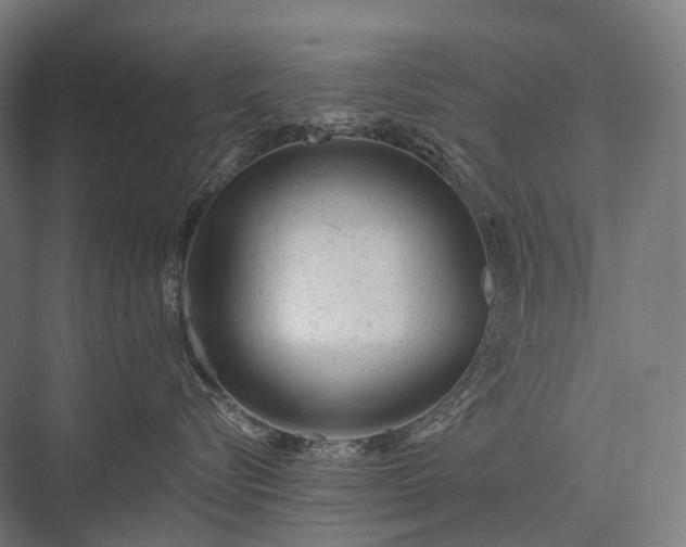 X0000076300576200610061307