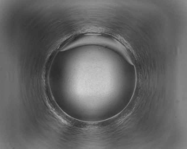 X0000076300581200610061306
