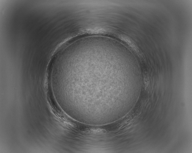 X0000076300583200610061306