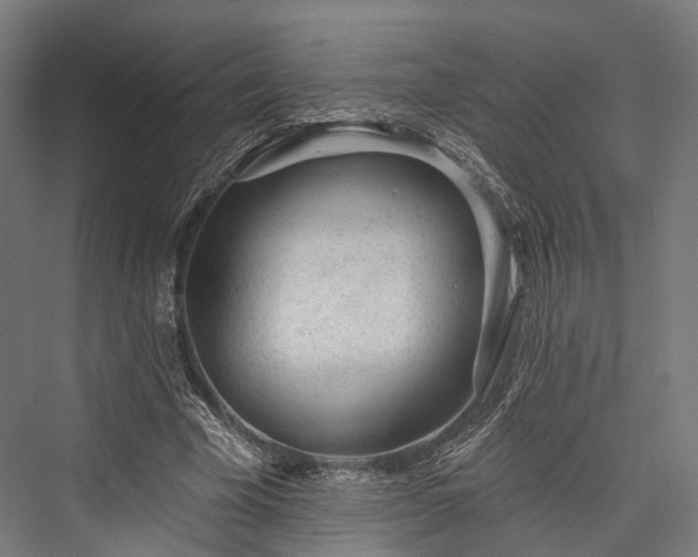 X0000076300585200610061306