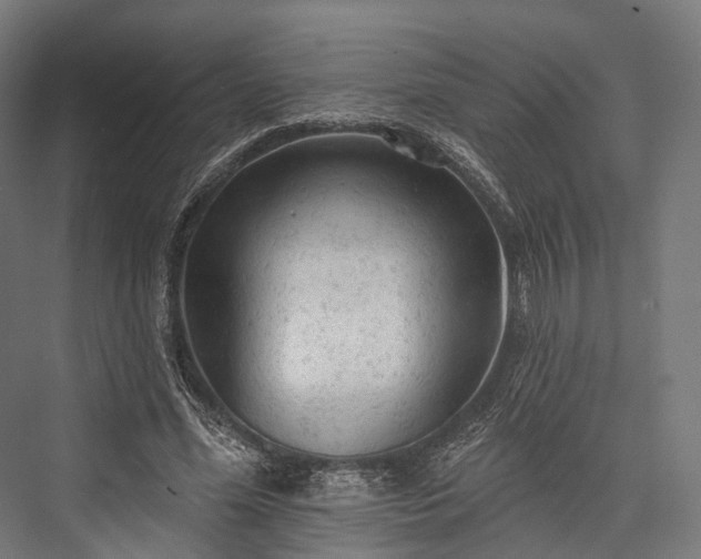 X0000076300588200610061306