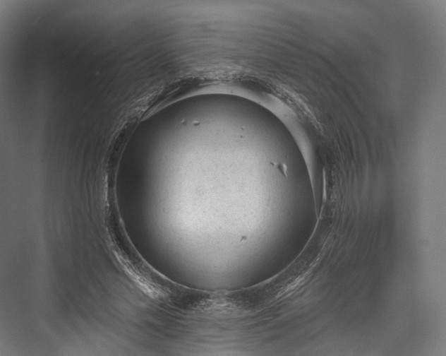 X0000076300589200610061306