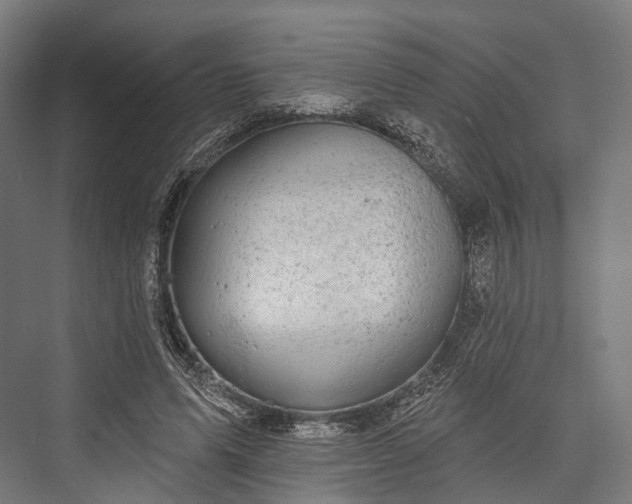 X0000076300591200610061306