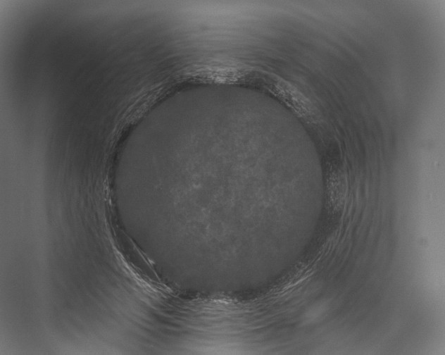 X0000076300594200610061306