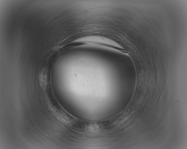 X0000076300600200610061306