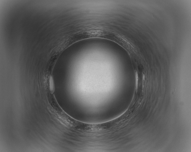 X0000076300601200610061306