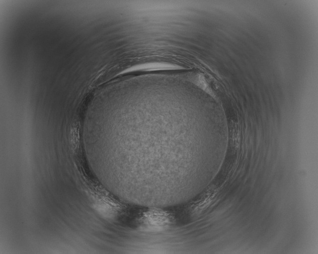 X0000076300603200610061306