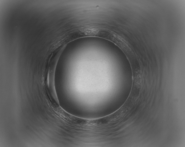 X0000076300604200610061306