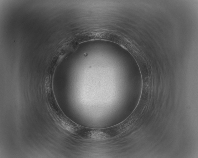 X0000076300605200610061306