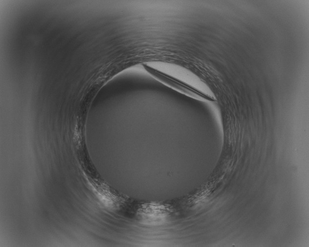 X0000076300607200610061306
