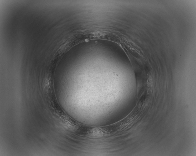 X0000076300608200610061306