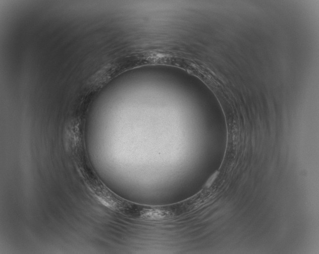 X0000076300611200610061306