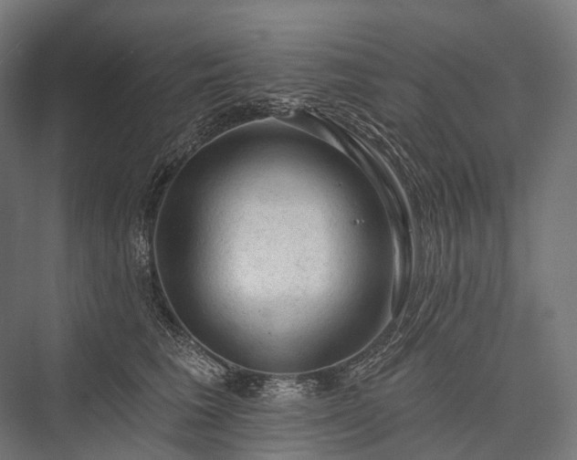 X0000076300613200610061306