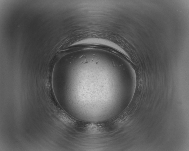 X0000076300616200610061306
