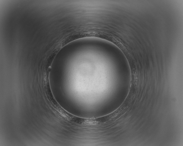 X0000076300617200610061306