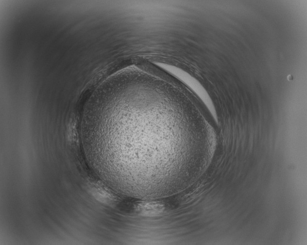 X0000076300619200610061305