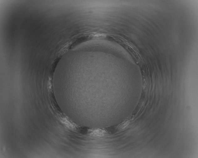 X0000076300621200610061305