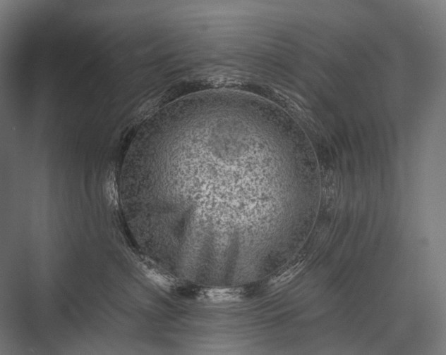 X0000076300622200610061305
