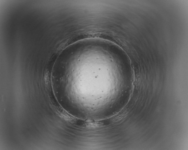 X0000076300623200610061305