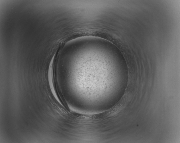 X0000076300624200610061305