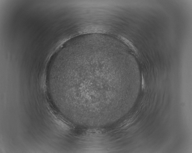 X0000076300627200610061305
