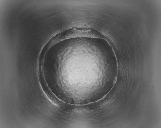 X0000076300630200610061305