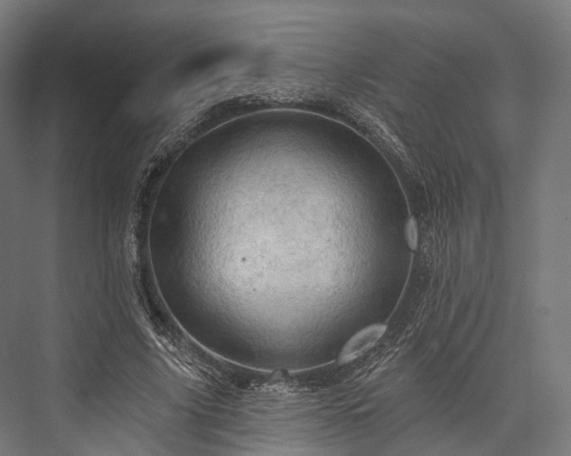X0000076300635200610061305