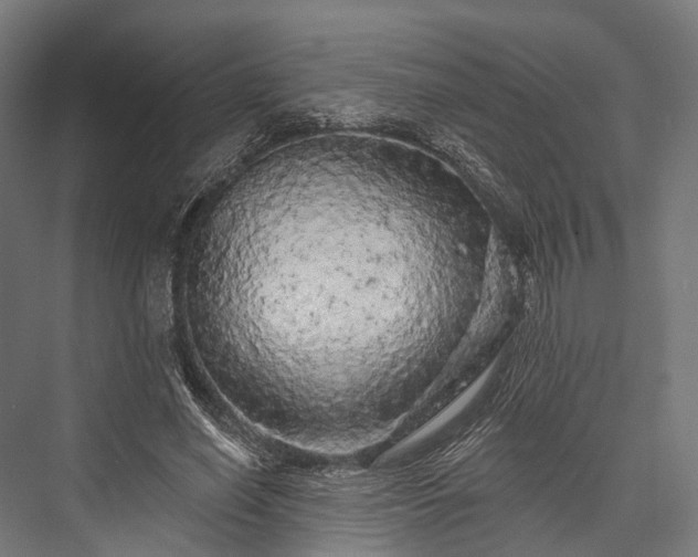 X0000076300638200610061305