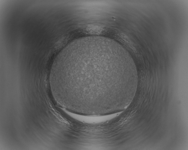 X0000076300641200610061305