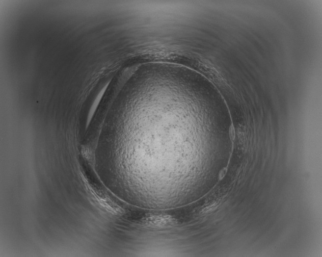 X0000076300642200610061305