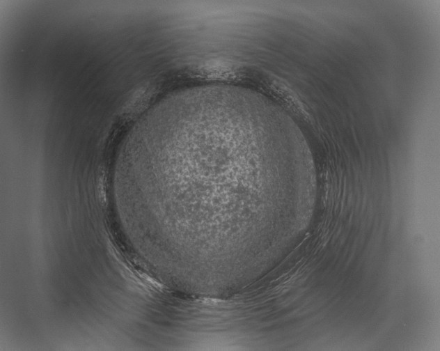 X0000076300643200610061305