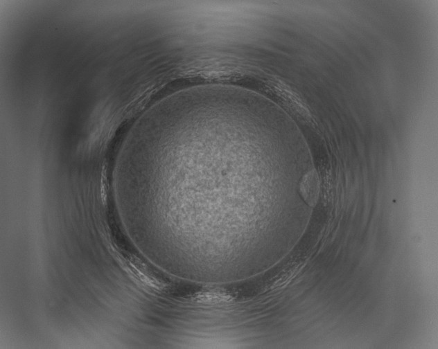 X0000076300644200610061305