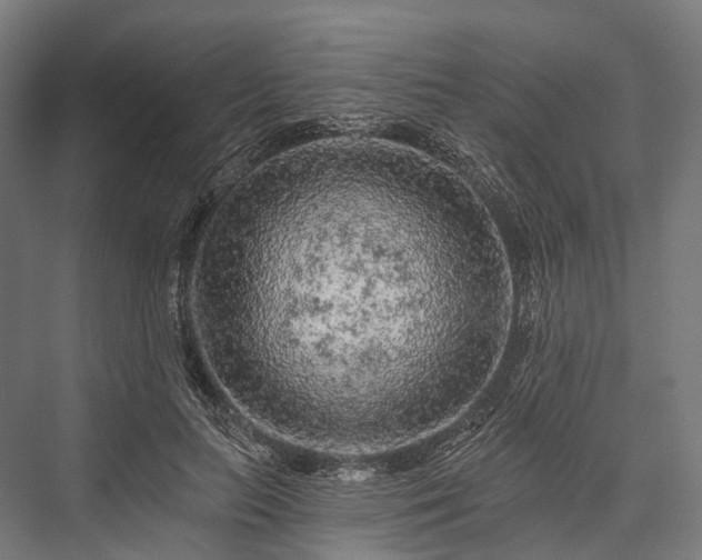 X0000076300647200610061305