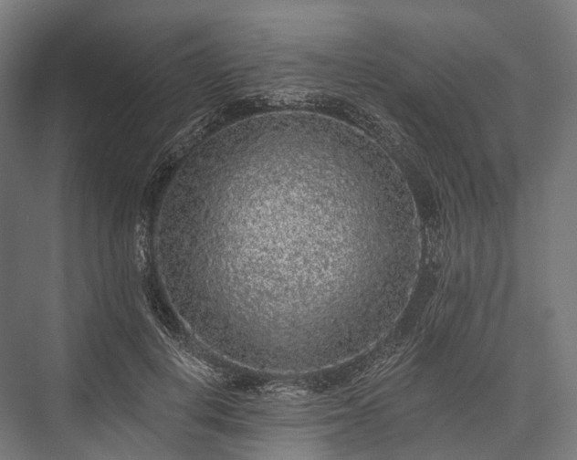 X0000076300648200610061305
