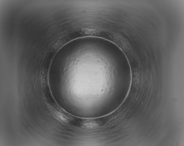 X0000076300653200610061305