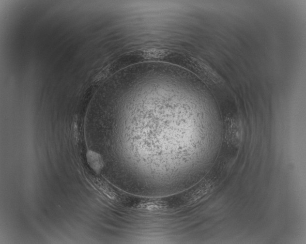 X0000076300655200610061305