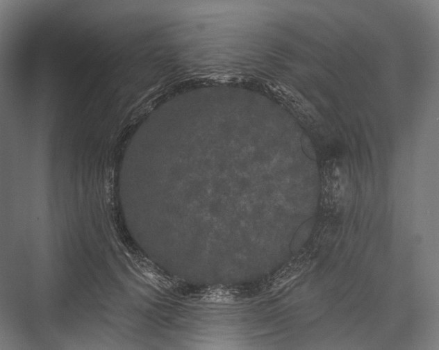 X0000076300656200610061305