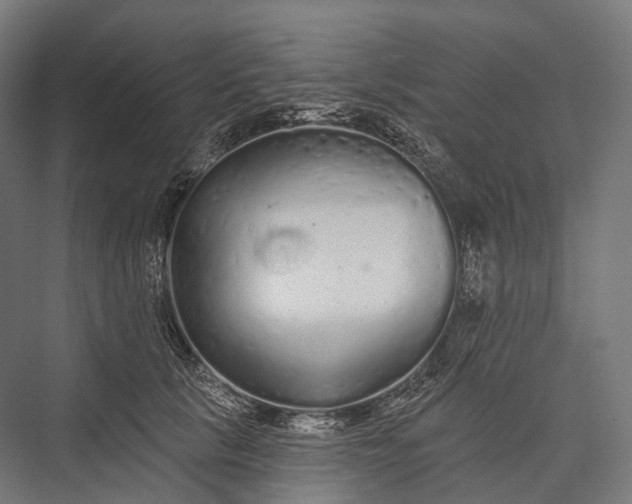 X0000076300657200610061305