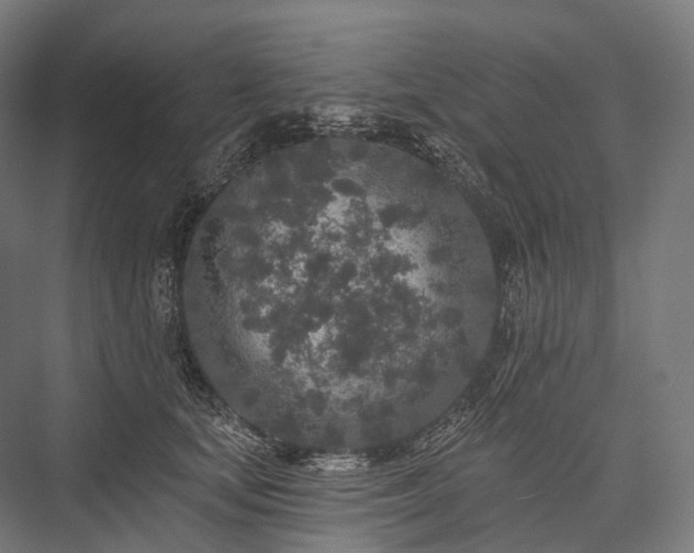 X0000076300659200610061305