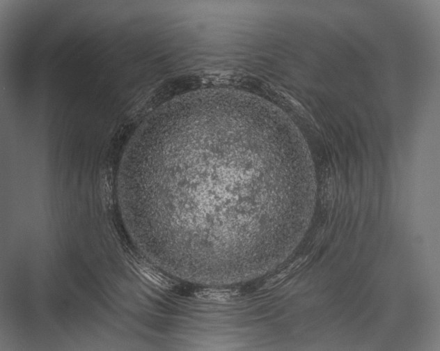 X0000076300661200610061305