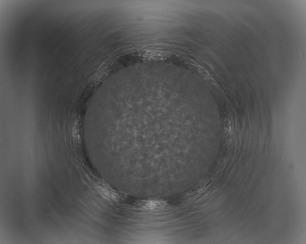 X0000076300663200610061305