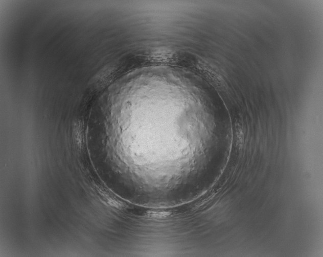 X0000076300665200610061305
