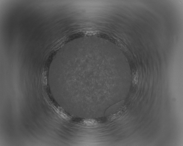 X0000076300666200610061305
