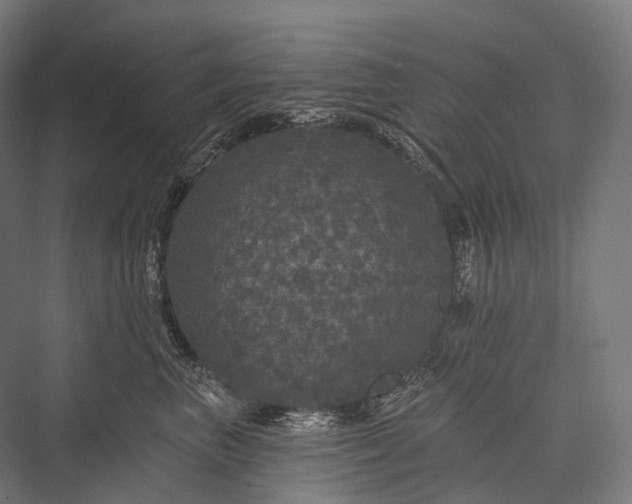 X0000076300667200610061305