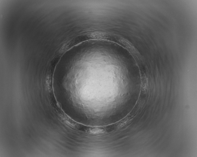 X0000076300669200610061305