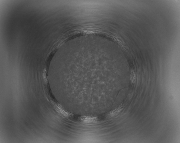 X0000076300670200610061305