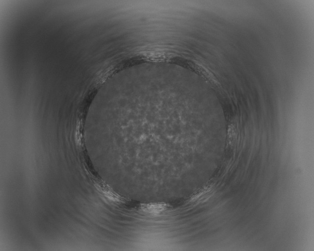 X0000076300671200610061305