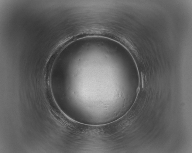 X0000076300675200610061305